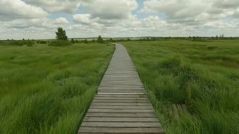 Walking on a wooden path in the middle of the field. Stock Footage 247134348