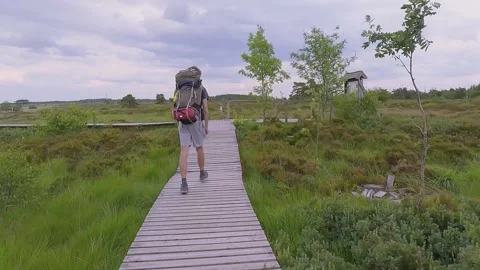 Walking on a wooden path in the middle of the forest. Stock Footage 247134347