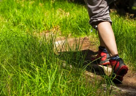 Walking on a wooden path Foto stock
