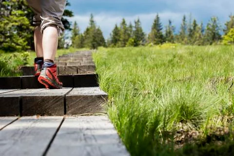 Walking on a wooden path Stock-Fotos