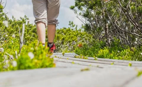 Walking on a wooden path Stock Photos