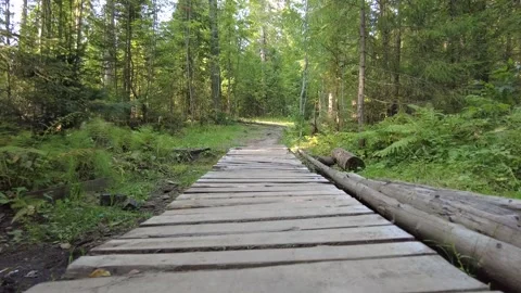 Walking on a wooden platform in the forest 動画素材 159664742