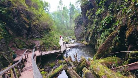 Walking on wooden tourist path on mountains Stock-Footage 273965853