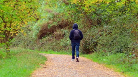 Walking in the woods - 4K - ProRes Stock Footage 163816096