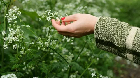 Walking in the woods during lockdown covid-19 enjoying being close to nature 4k Vídeo Stock 129557697