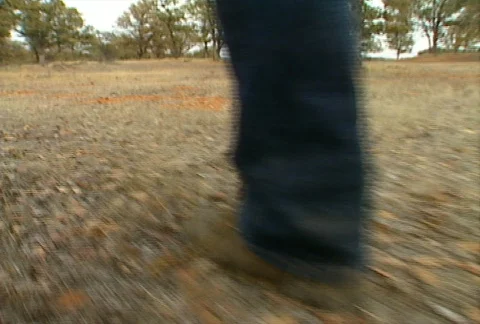 Walking in the woods Stock Footage 646374