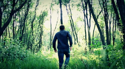 Walking in the woods Stock-Footage 33849481