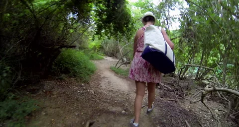 Walking in the woods Stock Footage 42880412