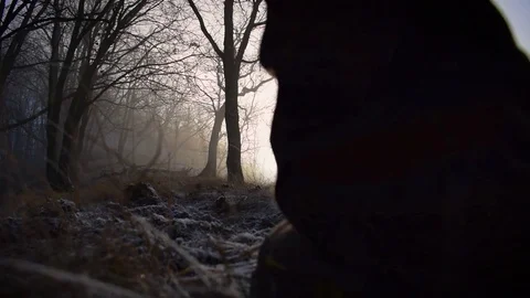 Walking in a woods Stock Footage 71085452