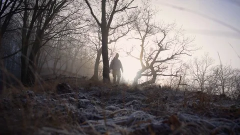 Walking in a woods Stock Footage 71085766