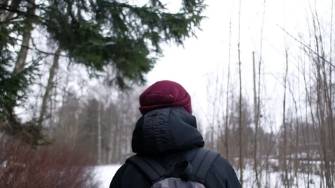 Walking in Woods Stock Footage 76242064