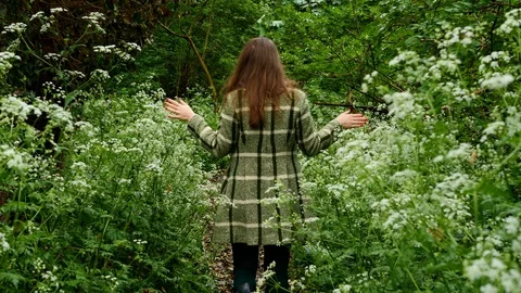 Walking in the woods Vídeo Stock 129558757