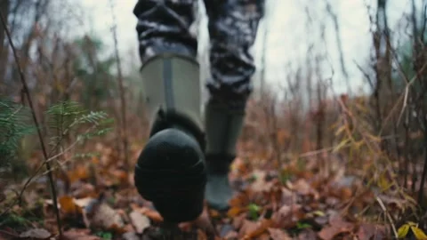 Walking In The Woods Stock Footage 231824090
