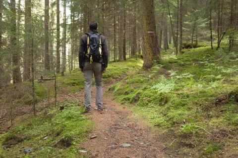 Walking in the woods long a path Fotos Stock