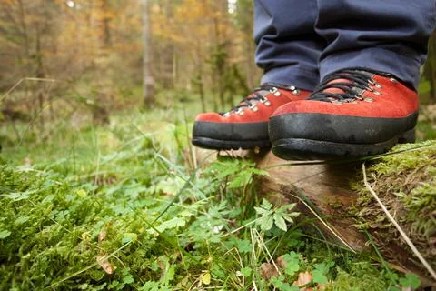 Walking in the woods out of  path with red mountain shoes Stock Photos