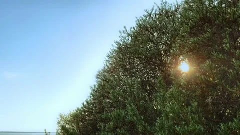 Walking in the woods.  The path through the beautiful forest on the background Stockbeeldmateriaal 130463994