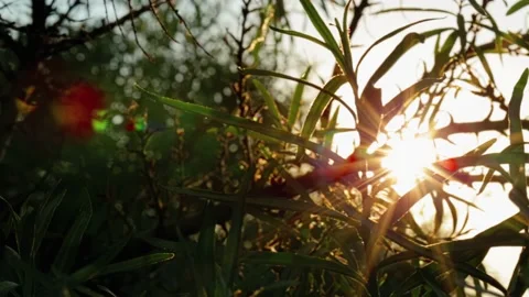 Walking in the woods. The path through the beautiful forest on the background Video stock 133138011