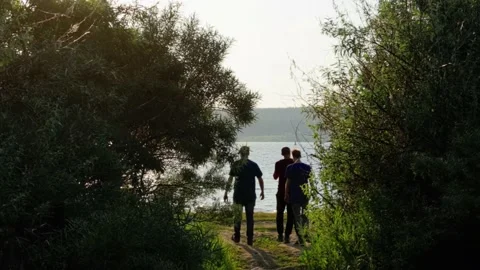 Walking in the woods. The path through the beautiful forest on the background Видео 133138031