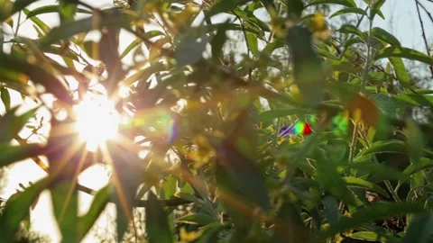 Walking in the woods. The path through the beautiful forest on the background Video stock 133138040