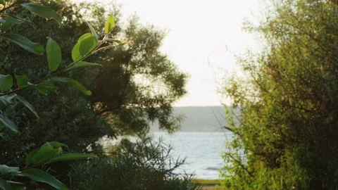 Walking in the woods. The path through the beautiful forest on the background  Stockbeeldmateriaal 133138232