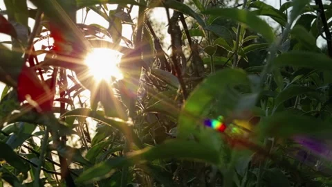 Walking in the woods. The path through the beautiful forest on the background Video stock 133138258