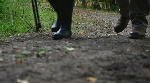 Walking in the woods, Slow Motion Stock Footage 43261010