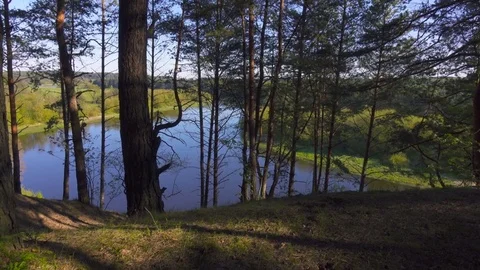 Walking in woods on steep high river bank pov steadicam nature landscape Stock-Footage 75697619