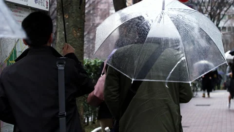 Walking to Work In Rain Japan Slow motion Umbrella Tokyo Stock Footage 163227979