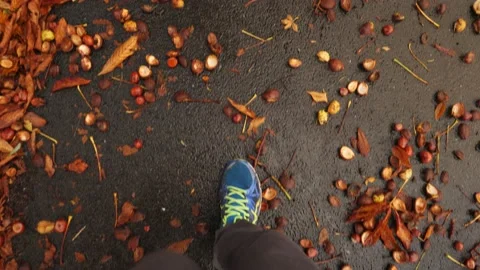 Walking with Workout Shoes on a Road Covered with Chestnuts, Slow Motion Stock Footage 227321237