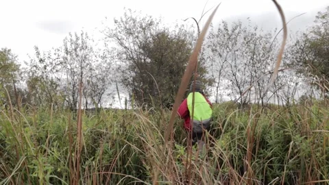Walking3 Video stock 161947811
