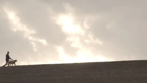 WalkingDog Stock Footage 124496334