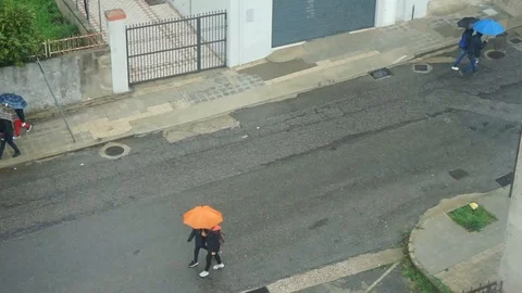 Walkingrain 库存影片 97990698