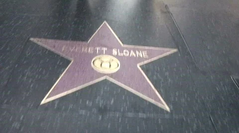 WalkOfFame Stock Footage 665415