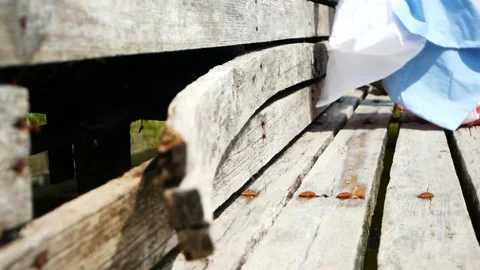 Walks away Stock Footage 138458923