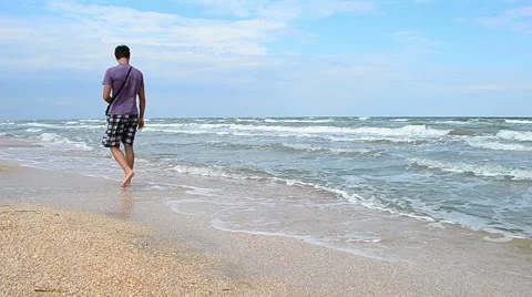 Walks on the beach Stock Footage 55442734