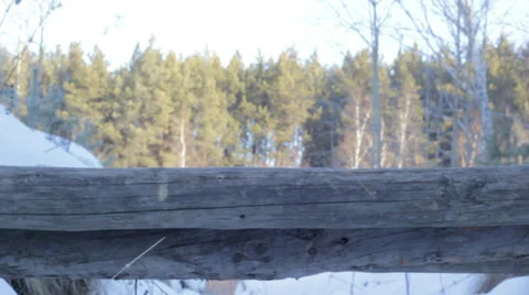 Walks on the bridge Stock Footage 35859240