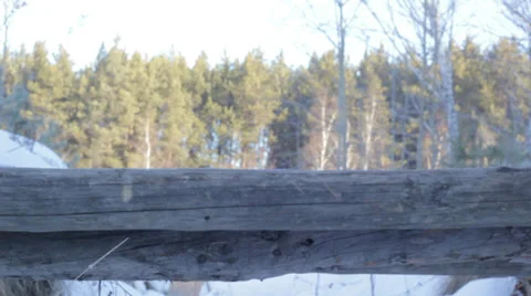 Walks on the bridge with stop Stock Footage 35859883