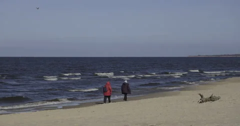 Walks on the seashore, 4K Stock Footage 184024454