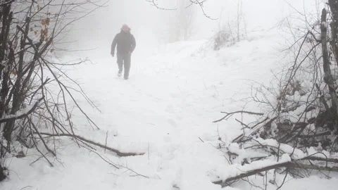Walks in the snow Stock Footage 267416443