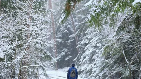 Walks in the winter forest. Winter tourism.Snowfall in the forest Stock Footage 155669019