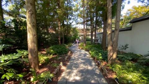 Walkthrough the beautiful Park Stock Footage 116434928