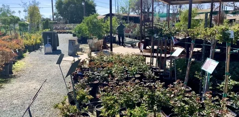 Walkthrough at nursery Stock Footage 126259093