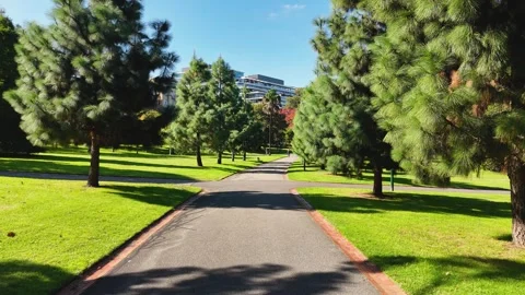 Walkthrough Park During Daytime On Path Surrounded By Trees Stock Footage 274539708