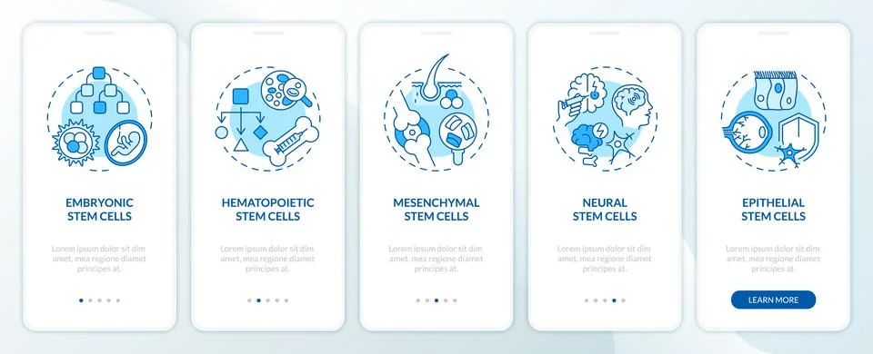Walkthrough types of stem cell with blue thin line icons Stock Illustration