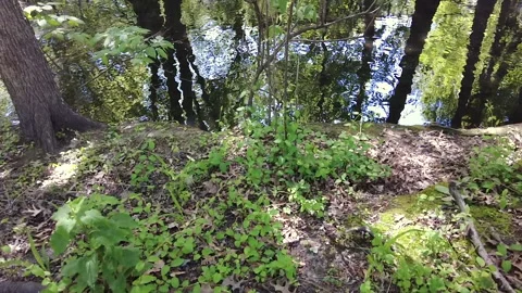 WALKUPTOBROOK Stock Footage 195724206