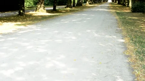 Walkway in the alley Stock Footage 59188812