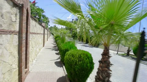 Walkway and flycam. 動画素材 49817053