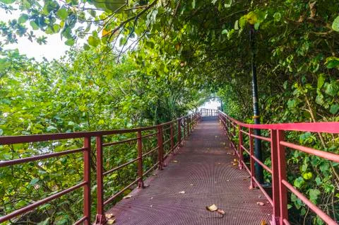 Walkway to beach Stock Photos