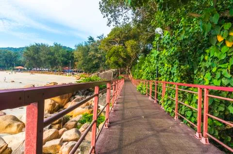 Walkway to beach Stock Photos