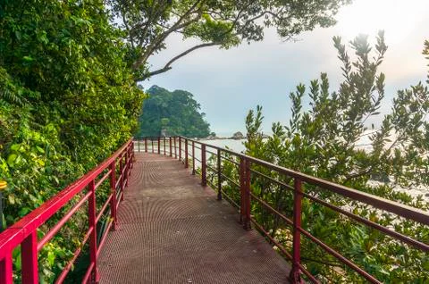 Walkway to beach Stock Photos